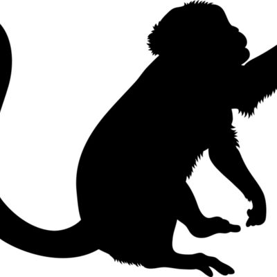 Monkey   Clipart 2 Thumbnail