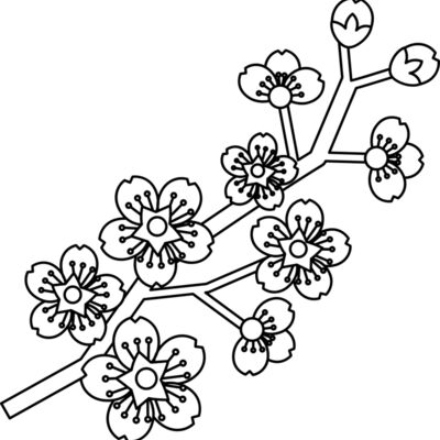 Cherry Blossom Branch Thumbnail