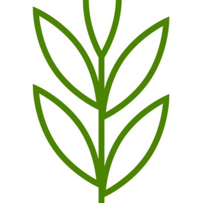 Leaves 4 Thumbnail